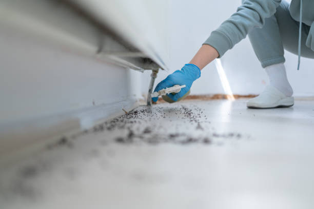 Best Pest Control Near Me  in Clearfield, UT